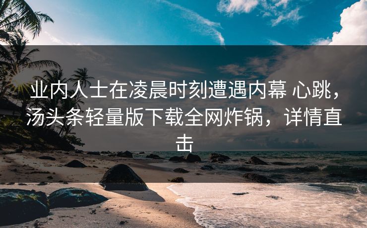 业内人士在凌晨时刻遭遇内幕 心跳，汤头条轻量版下载全网炸锅，详情直击